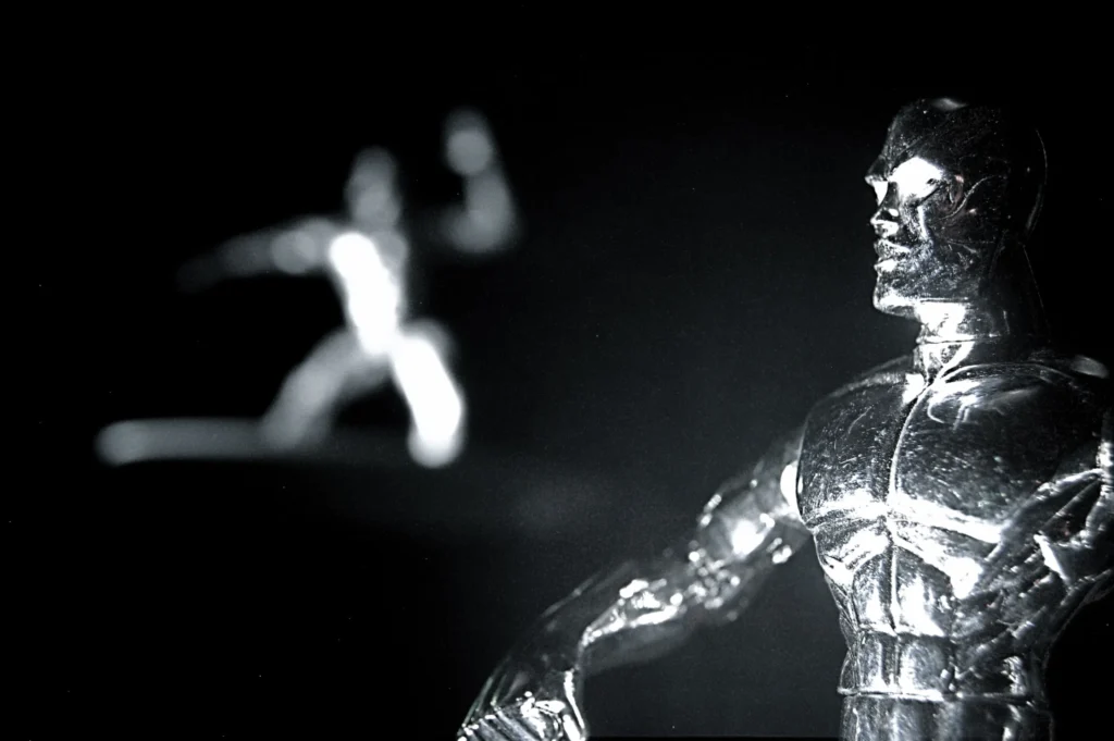 Silver Surfer - ein 'silberner Surfer' mit schoenen Reflexionen
